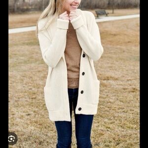 everlane the chunky knit 100% wool longline cardigan